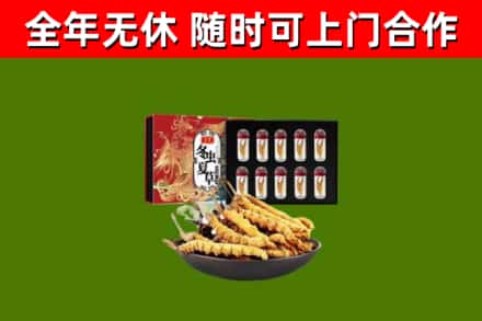 资阳市回收冬虫夏草价格